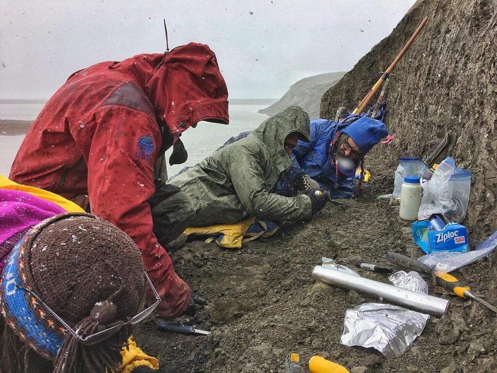 A group of paleontologists excavated along the Colville River in northern Alaska