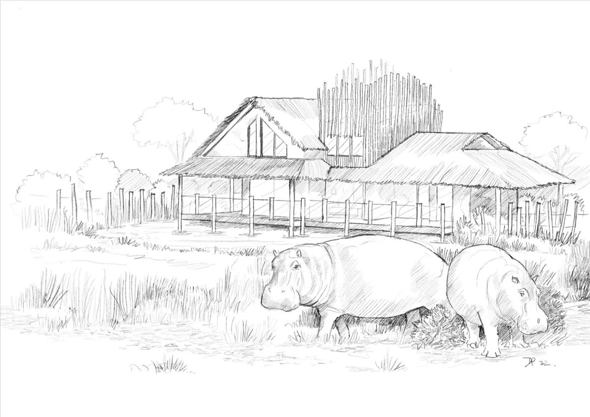 Artist's rendering of the exterior of Hippo Lodges.