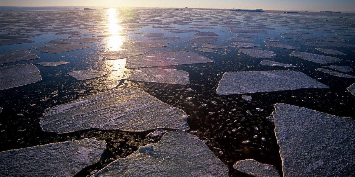 'Absolutely devastating news': Antarctica Warms Faster Than Models Predict
