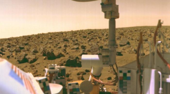Did Nasa’s 1976 Viking mission accidentally wipe out Martian life?