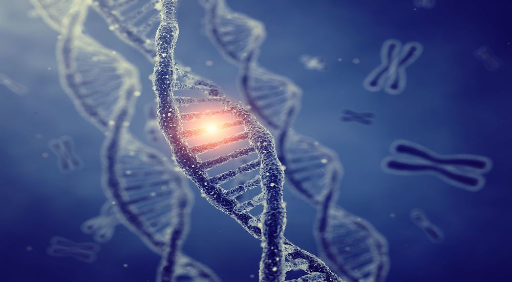 Genetic Components Linked to HS Associated with Disease Risk