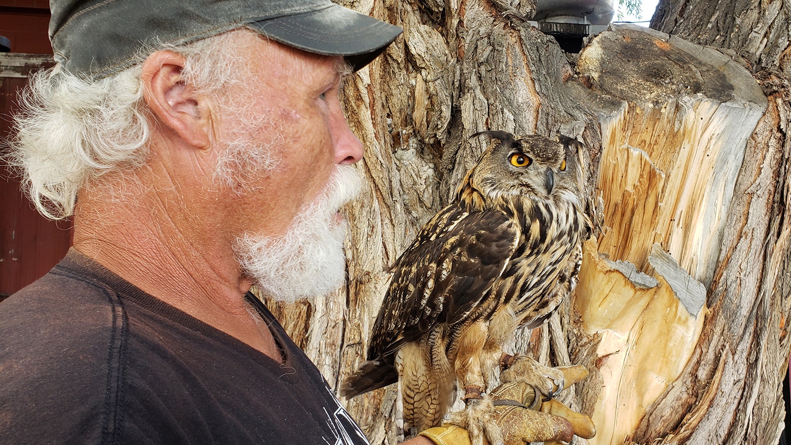 Jeff Shelburg and his famous Hoot owl.