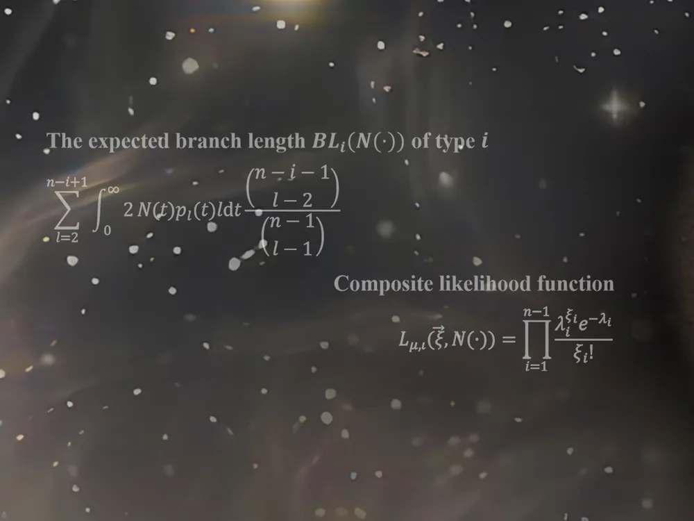 Equations in the Study of the Human Bottleneck