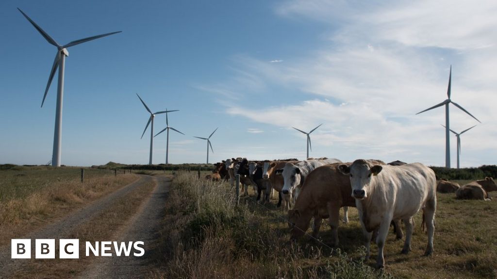 Upscale wind turbines get a second life - BBC News